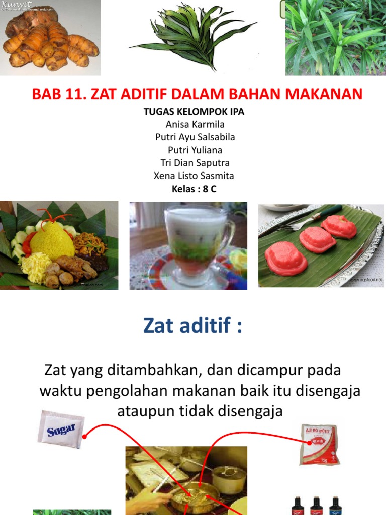Bab11 Zat Aditif Pada Makanan