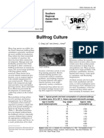 Bullfrog Culture.pdf