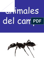 1-animales-del-campo.ppt