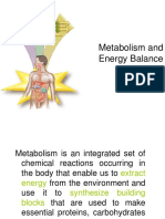 Metabolism and Energy Balance