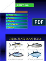 Fish Quality: Tuna Handling Guide