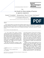 Use of Magnetic Beads For Gram Staining of Bacteria in Aqueous Suspension