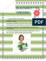 134315034-Partes-de-Las-Plantas-y-Sus-Funciones.docx