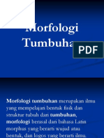 Morfologi Tumbuhan