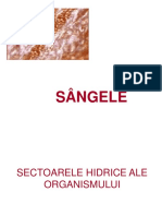 Sângele