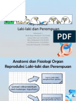 AnFis Organ Reproduksi Laki-Laki Dan Perempuan-Klompok 1