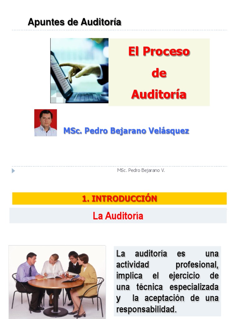 Proceso de Auditoría Profesional | PDF | Auditoría financiera ...