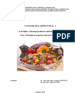 Lucrare Laborator 3 PDF