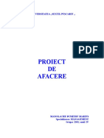 21037976-Plan-de-Afaceri (1).doc