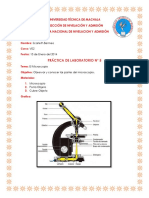 Informedelmicroscopio 140115074937 Phpapp01