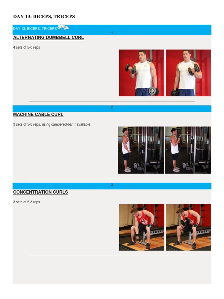 Biceps and Triceps Workout Plan | PDF | Home & Garden