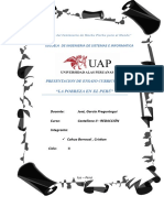 documents.tips_la-pobreza-en-el-peru-ensayodoc.doc