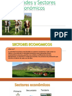 Actividades y Sectores Econmicos 150626232435 Lva1 App6891