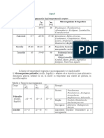 Curs 5 Studenti