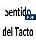 Sentido Del Tacto