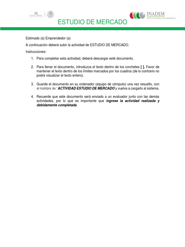 Plantilla para Estudio de Mercado | PDF | Producto (Negocio) | Innovación