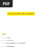 6 Aula Alface
