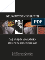 Das Wissen Vom Gehirn - IBRO PDF