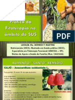 Fitoterapia na Atenção Nutricional