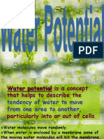 Water Potential