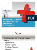 Anfis Review Endokrin