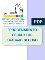 Porcedimiento Escrito de Trabajo Seguro (PETS) de Las Tareas Con Riesgos Críticos y Cronograma de La Revisión de Estos (OPT S)