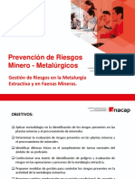 2.1. - Gestión de Riesgos en La Metalurgia Extractiva