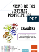 Semi #4-Mecanismo de Los Sistemas Proteolíticos