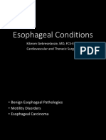 Esophageal Conditions Guide: Hiatal Hernia, GERD, Achalasia, Cancer