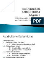 Katabolisme Karbohidrat