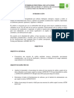 254636256-Caracterizacion-de-Carbones.docx