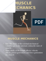 Muscle Mechanicsb
