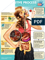 Digestive System Infographic Kids Discover