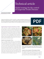Global strategy for control of grapevine trunk diseases