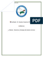 Lectura Del Tema Generalidades Del Sistema Nervioso, Del Libro de Texto Básico. Preparación de Una Síntesis Teniendo en Cuenta