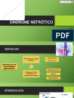 Sindrome Nefrotico y Nefritico-Clase Final 2017