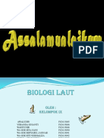 Biologi Laut Lhysa