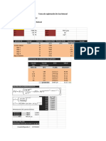 Tarea de Explotación de Gas Natural