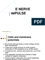 01the Nerve Impulsepc