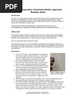Rf Values of Plant Pigments in Chromatography | PDF