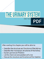 anfis sistem urinarius.pptx