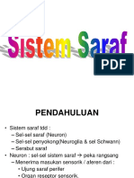 Fisiologi Sistem Saraf