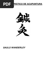 Saulo Wanderley - Manual prático de acupuntura 