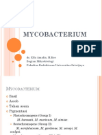 Mycobacterium: Dr. Ella Amalia, M.Kes Bagian Mikrobiologi Fakultas Kedokteran Universitas Sriwijaya
