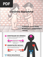 Aula Sistema Reprodutor