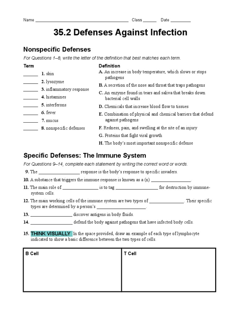 35 2 Worksheet Student Humoral Immunity Immune System
