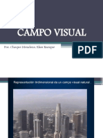 Campo Visual y Perimetria