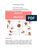 Sistema Digestivo Y Linfático