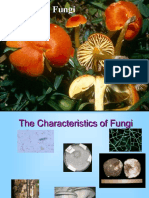 Intro To Fungi Presentation