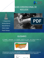 Analisis Nucleos